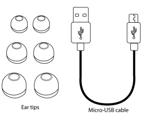 Avantree BTHS TWS115 True Wireless Stereo-Included accessories