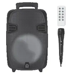 Cj Global BL2101 8 Inch True Wireless Speaker Datasheet - FM Radio Function