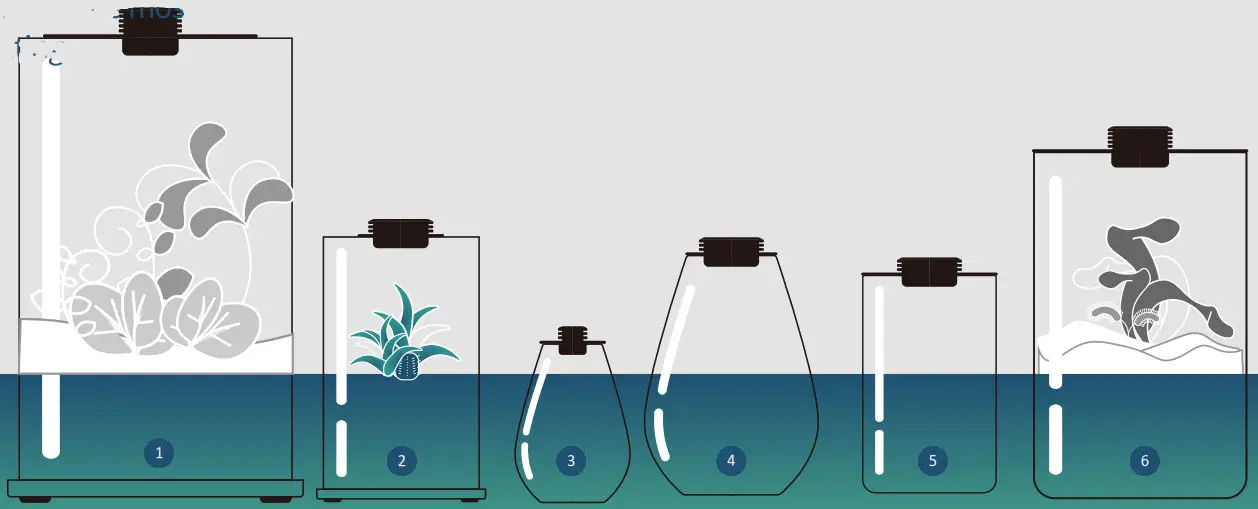 Bioloark Bio Ecological LED Bottle - BIOLOARK MODEL