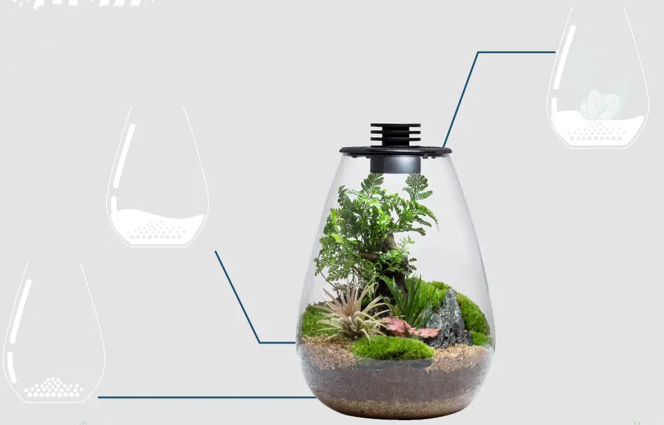 Bioloark Bio Ecological LED Bottle - BIOLOARK PLANT SELECTION