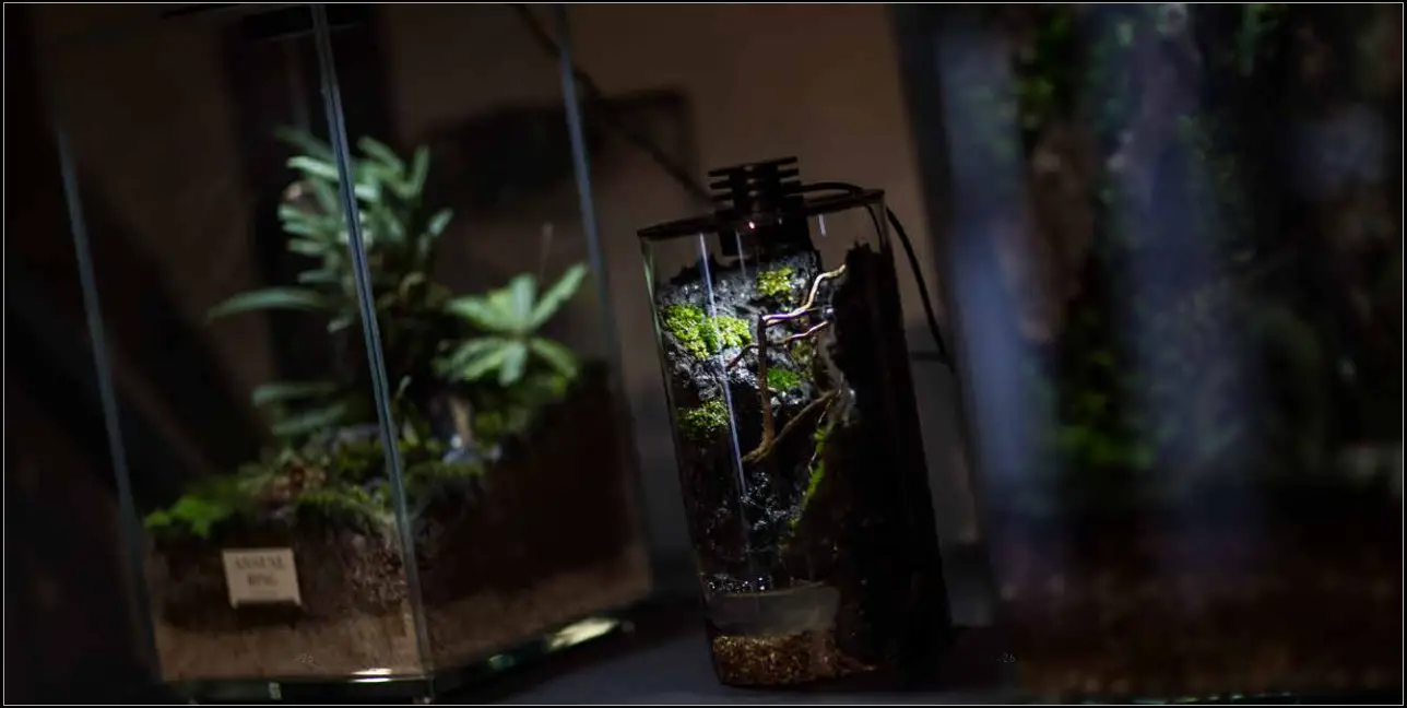 Bioloark Bio Ecological LED Bottle - Overview 3