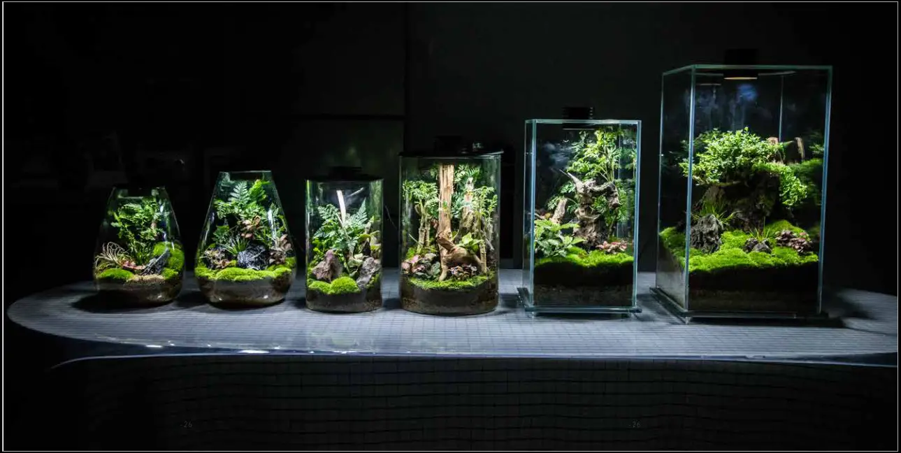 Bioloark Bio Ecological LED Bottle - Overview 4