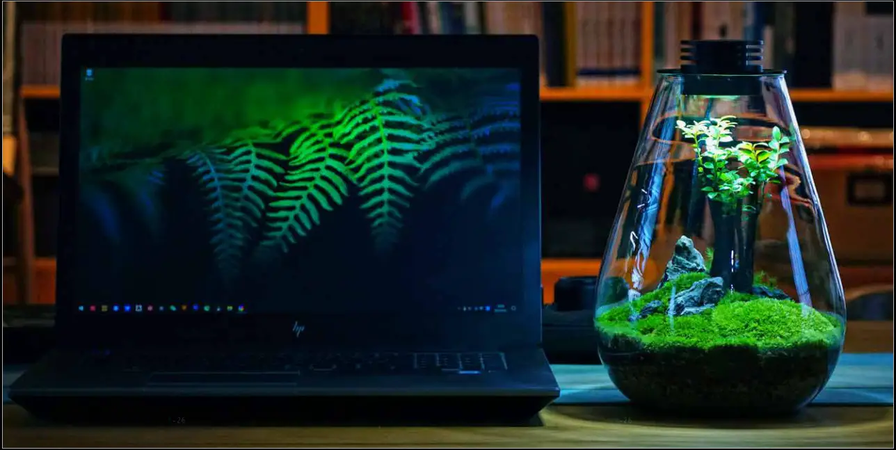 Bioloark Bio Ecological LED Bottle - Overview