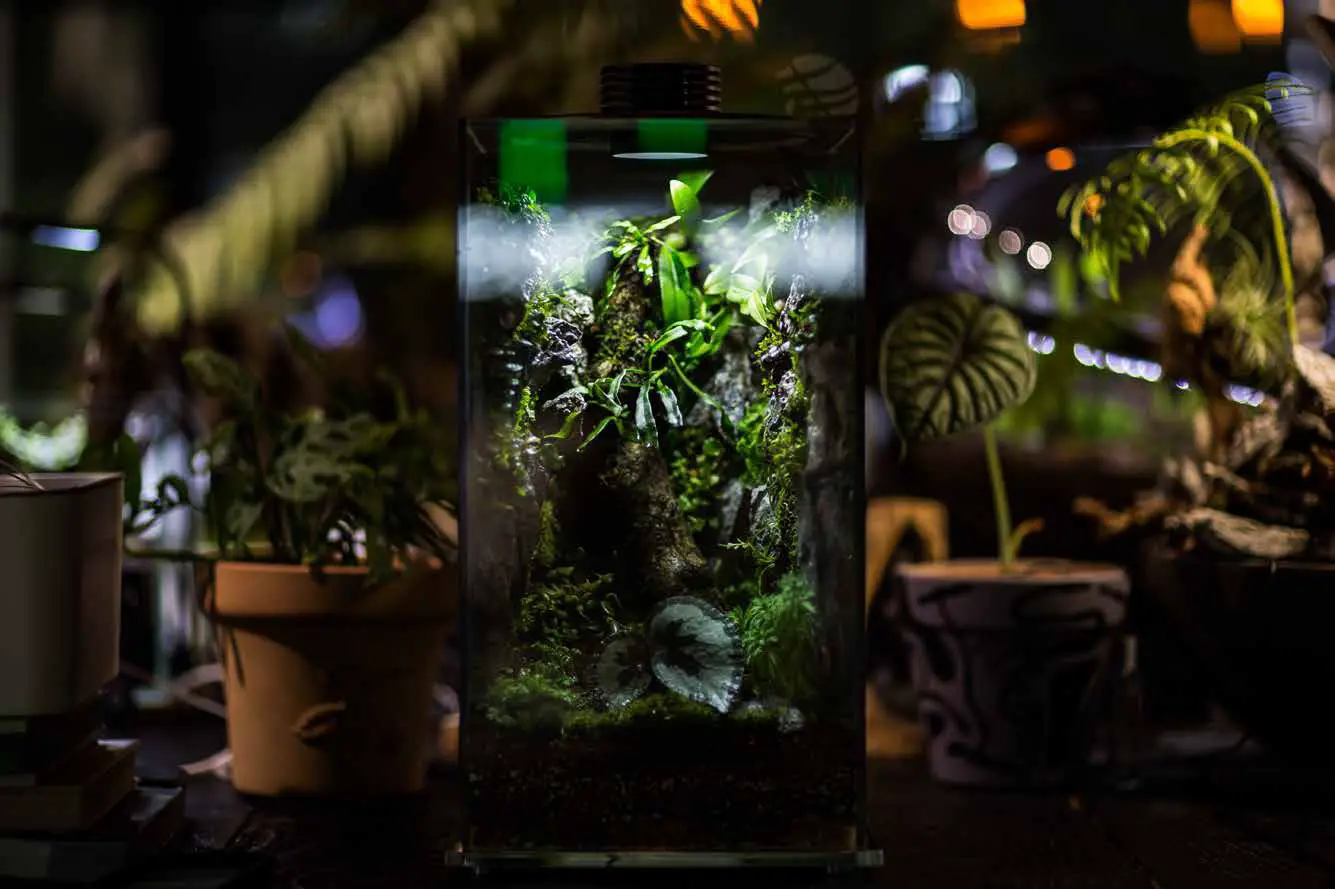 Bioloark Bio Ecological LED Bottle - We are Bioloark