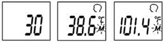 promed FR830 IRT 100 Infrared Thermometer - Display12