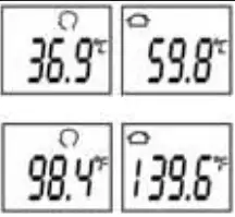promed FR830 IRT 100 Infrared Thermometer - Display4