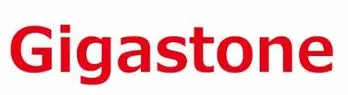 Gigastone logo