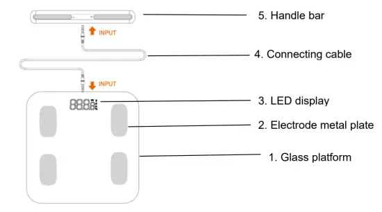 Welland Smart Body Fat Scale - figure 1
