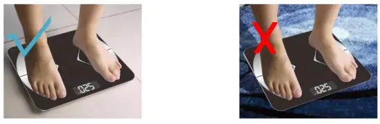 Welland Smart Body Fat Scale - figure 2