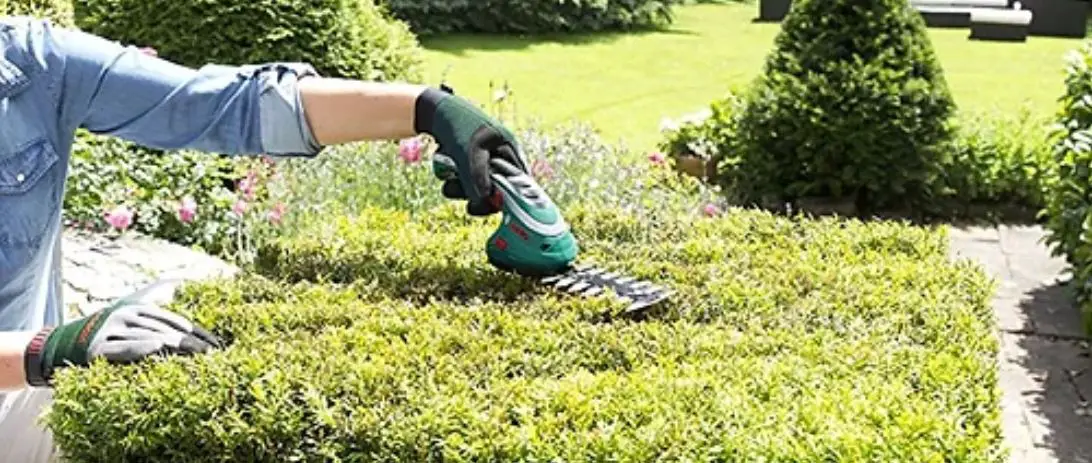 Bosch Isio Cordless Shrub And Grass Shears Set Instruction Manual