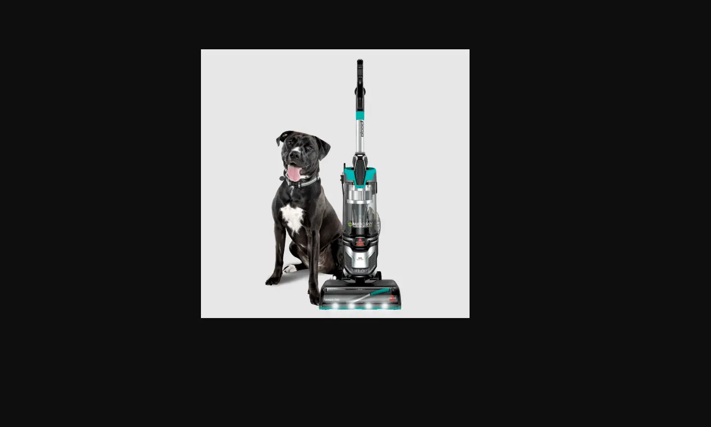 Multiclean™ Allergen Pet Lift-off® & Non Lift-off Cleaning Filters | Support