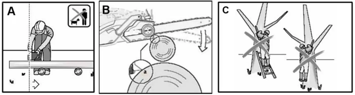 TEXAS CSX 4000 Chainsaw - Fig 8