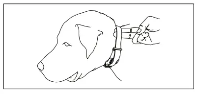 Dogtra ARC Handsfree 1-Dog System Only - Improper Fit