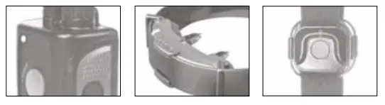 Dogtra ARC Handsfree 1-Dog System Only - LED Indicator