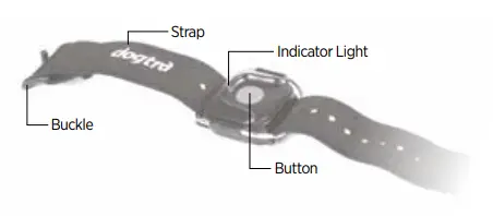 Dogtra ARC Handsfree 1-Dog System Only - Remote Controller