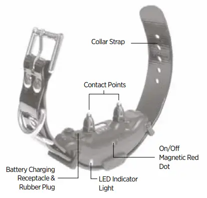 Dogtra ARC Handsfree 1-Dog System Only - TRAINING SYSTEM