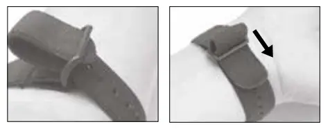 Dogtra ARC Handsfree 1-Dog System Only - buckle