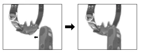 Dogtra ARC Handsfree 1-Dog System Only - shut of