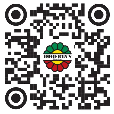 ROBERTA S Gardens H398884 Butterfly hybrids Coneflower Mix - qr code