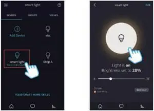 How to control the light with Amazon Alexa?