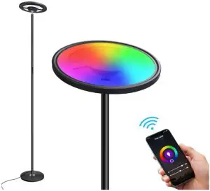 ZEEFO LDD-25W-C Smart Floor Lamp