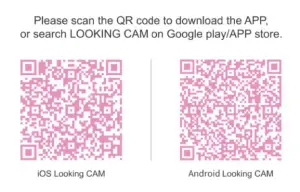 Taiwan XV-2 Dual Cam Helmet Camera - Use the APP via WIFI