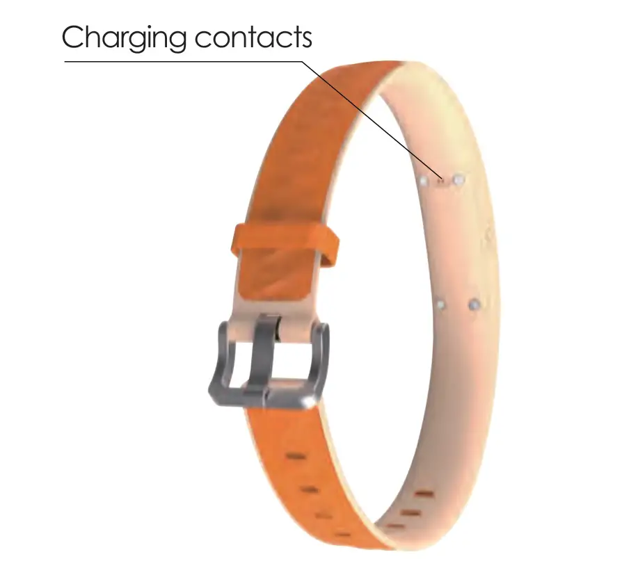 Shenzhen Eview Gps Technology EV202G Pet GPS Tracker - Back