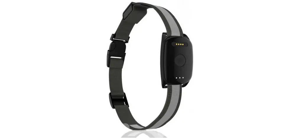 Shenzhen Eview Gps Technology Ev202g Pet Gps Tracker User Guide