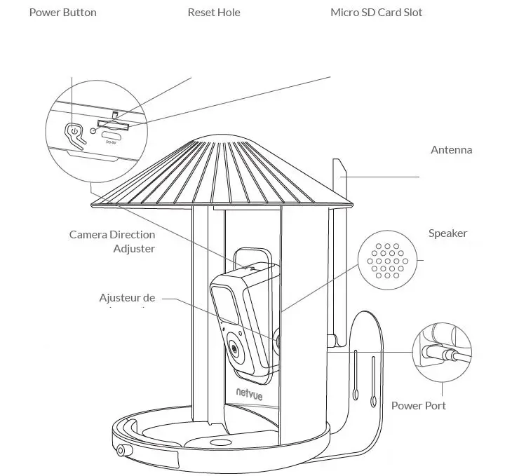 netvue-Birdfy-Feeder-Camera-fig-6