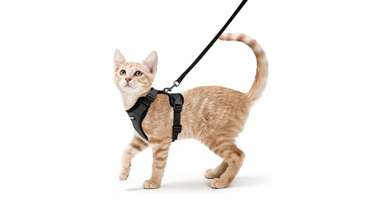 Rabbitgoo Cat Harness And Leash Set User Manual