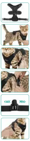 Rabbitgoo Cat-Harness-and-Leash-Set-fig-3