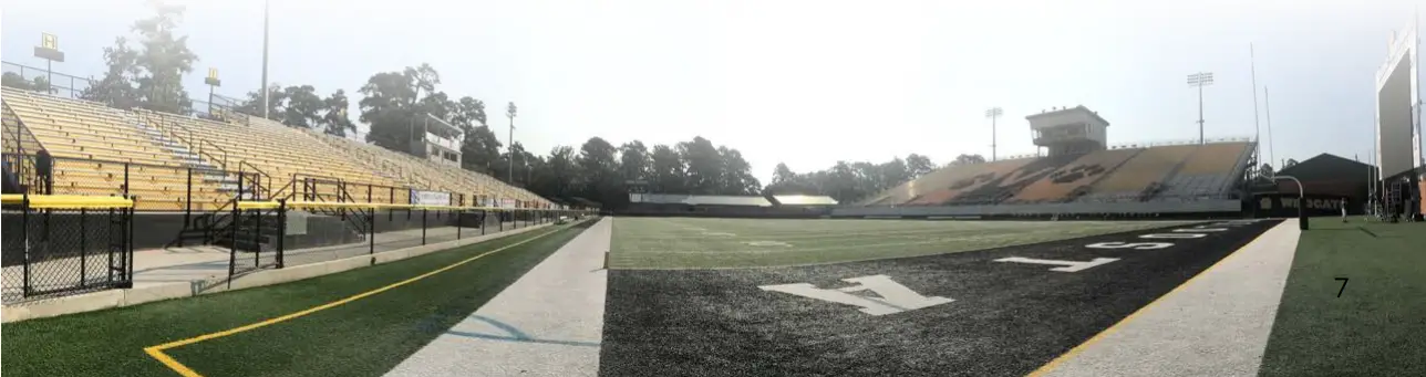 DANLEY OS12CX Compact Loudspeaker - FOOTBALL FIELD 4