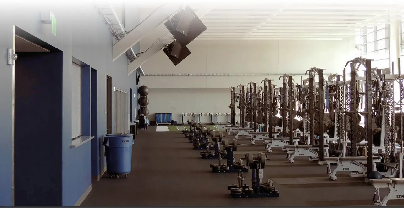 DANLEY OS12CX Compact Loudspeaker - FOOTBALL FIELD 6