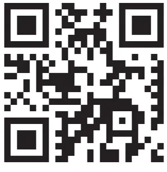 sygonix-2361019-LED-Bead-Light-Chain-Battery-Operated-01