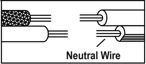 Neutral Wire