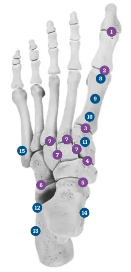 Procedural sizing chart