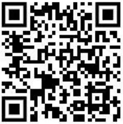 PETERMANN-PM-6012-Support-Belt-XS-FIG-4