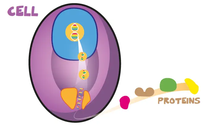 OjO B07X2SF8LZ Stem Games for Kids 1