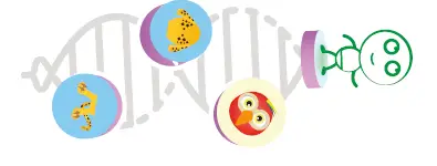 OjO B07X2SF8LZ Stem Games for Kids 6