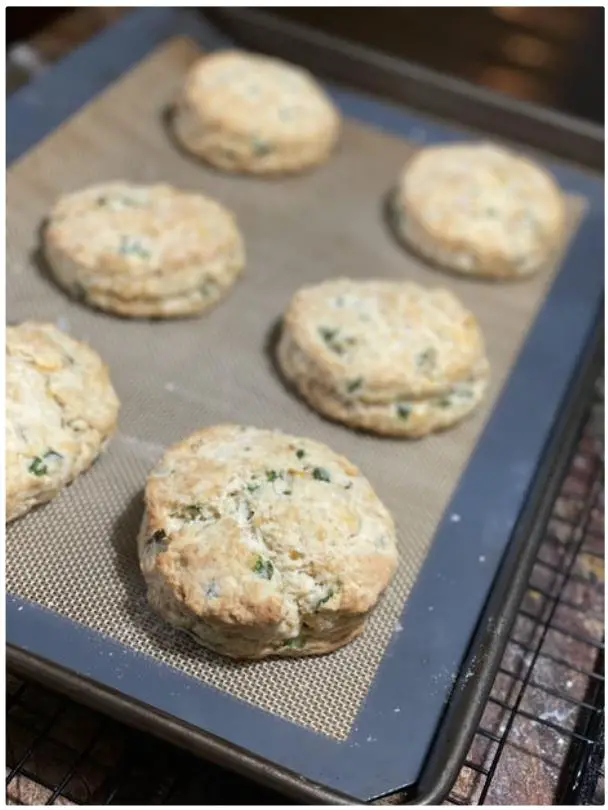 instructables-Vegan-Jalapeno-Cheddar-Biscuits-FIG 20