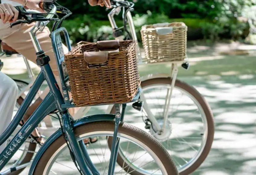 LeKKeR Jordaan+ Women eBike