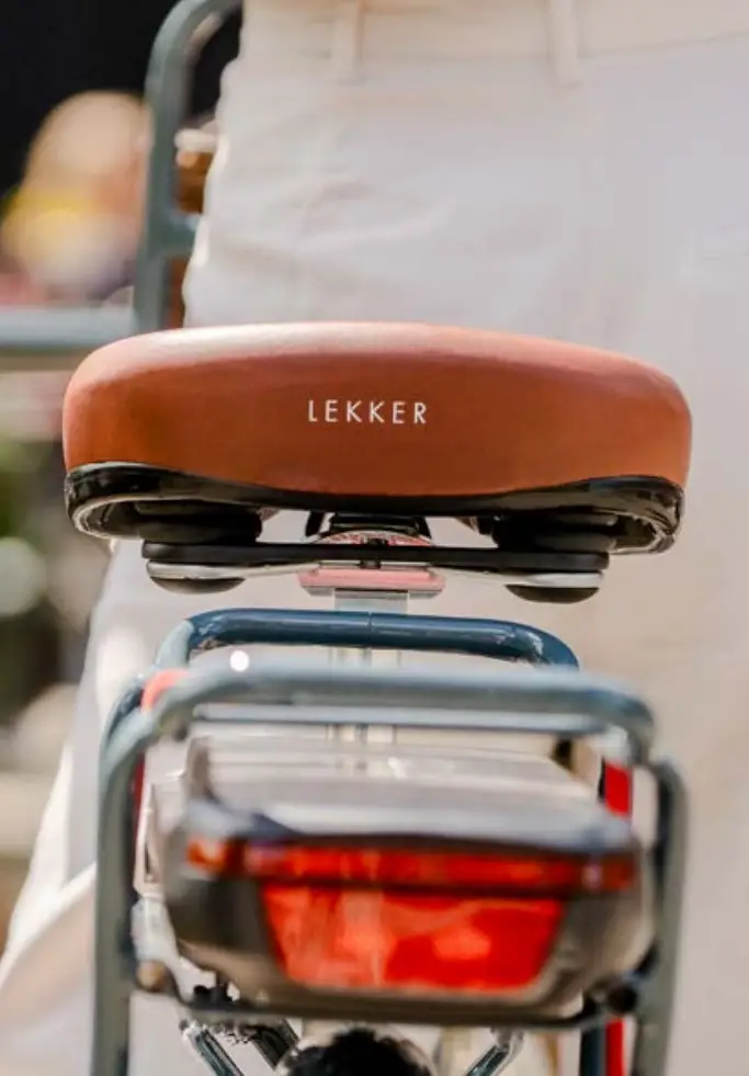 LeKKeR Jordaan+ Women eBike