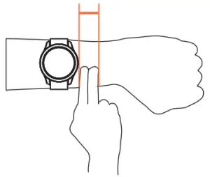 Detecting your Heart Rate