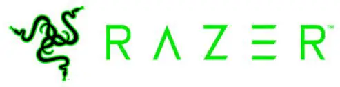 razer logo