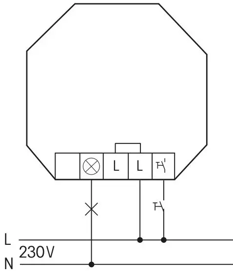 Eltako DTD55L-230V-WG Rotary Pushbutton Dimmer Switch without N Connection Instructions - Typical connection