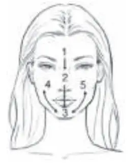 Carmen Sonic FC1800 Focal Cleansing Brush - Facial Sections 1