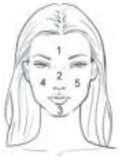 Carmen Sonic FC1800 Focal Cleansing Brush - Facial Sections