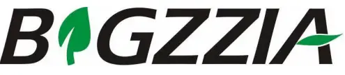 BIGZZIA-logo