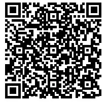 Puig 20867N Turn Lights Plate Supports Kit - qr code