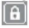 lock icon